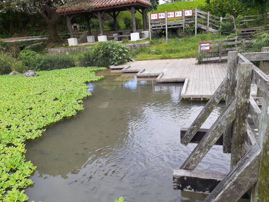 7.11(土)自然遊びの日